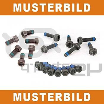 LUK Flywheel Screw Set 411016110