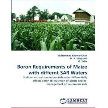 Boron Requirements of Maize with differnt SAR Waters: Sodium and calcium in brackish water differentially affects boron