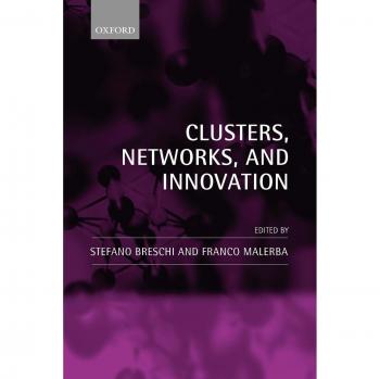 Clusters Networks and Innovation