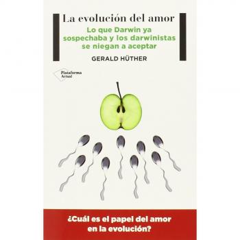 La Evolución Del Amor