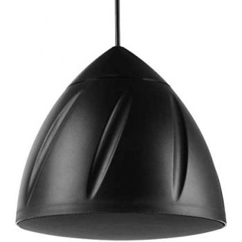 PDS40B PA Lautsprecher in Schwarz