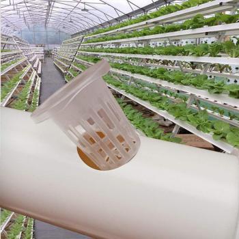 50PCS Soilless Culture Net Pots