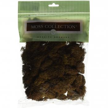 Reindeer Moss Preservation Kit by Quality Growers