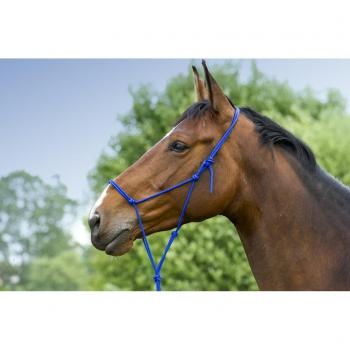 Pony Royal Blue Head Collar – Norton Soft