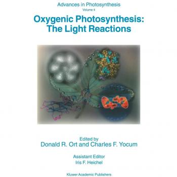 Oxygenic Photosynthesis: The Light Reactions
