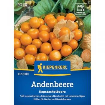 Dekorative Kapstachelbeere