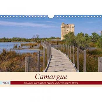 Camargue