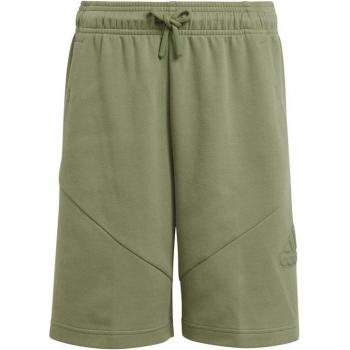 Sashimi Green Future Icon Shorts pour enfants