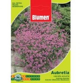 Aubretia Bleu Cascade