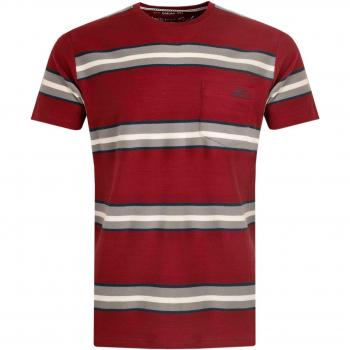 Weird Fish Littleton Organic Herringbone Stripe Tee Foxberry