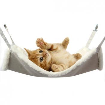 Cage pour chaton