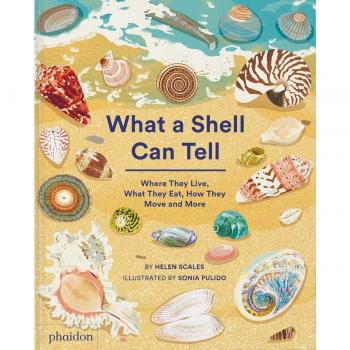 What a shell can tell. Where they live, what they eat, how they move and more