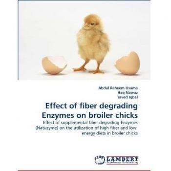Effect of fiber degrading Enzymes on broiler chicks: Effect of supplemental fiber degrading Enzymes