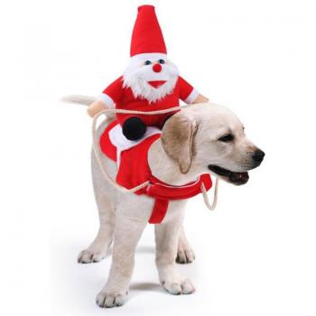 Jolly Canine Claus Costume
