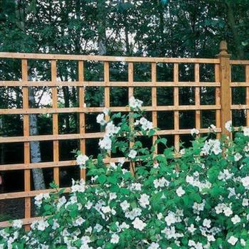 Forest 6' x 2' Heavy Duty Square Garden Trellis Fence Panel