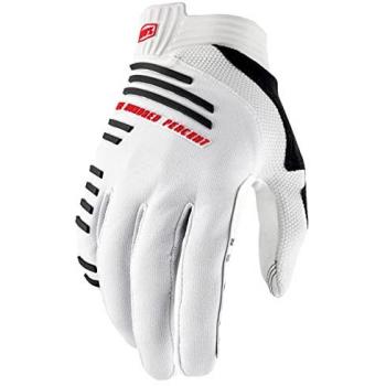 Guanti 100% R-Core Silver