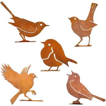Aquila Inossidabile Giardino