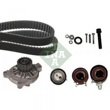 INA 530 0484 31 Kit di distribuzione e raffreddamento