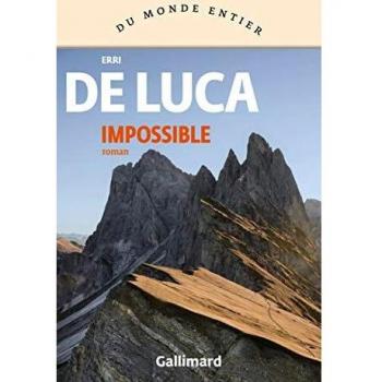Impossible (prix AndrÃ© Malraux de la fiction engagÃ©e 2020)