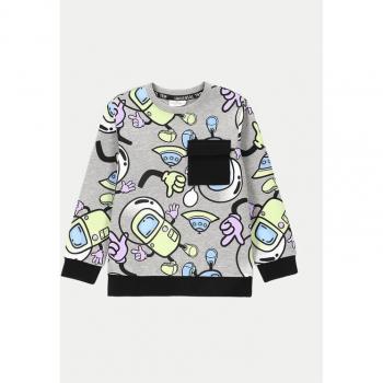 Coccodrillo Kinder Sweatshirt Grau
