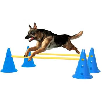 Vidaxl Pet Dog Agility Obstacle Set in Blue and Yellow