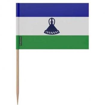 Cure‑Dents 8 cm Lesotho Pack – 100 Bamboo Sticks, Adhesive Plastic, Rainbow Colors