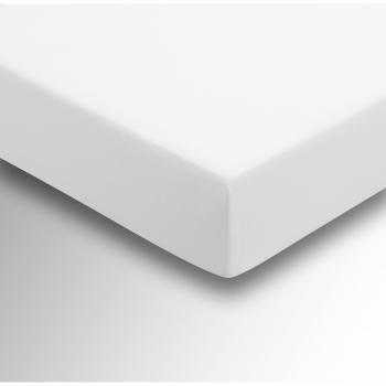 Helena Springfield Plain Dye Single Fitted Sheet