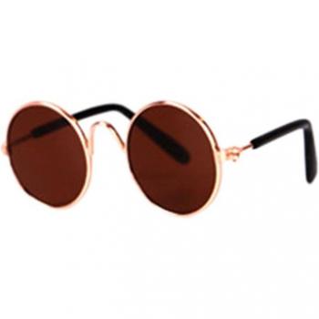 Gafas de sol para perritos