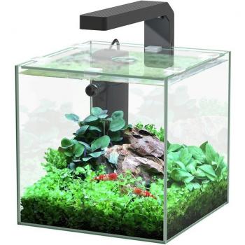 Aquarium Kubus 5 Litres LED Aquatlantis