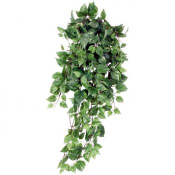 Plantita decorativa libre de maceta, 15 cm