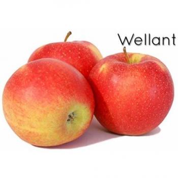 Wellant® Bodensee‑Apfel – Rosenhäusle Edition