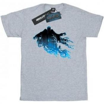 Tee Hombre Harry Potter con Imagen de Dementor