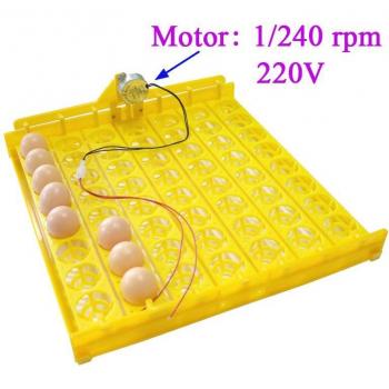56-Egg Poultry Incubator 110V/220V Automatic