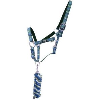 Collier Hy Tartan tête et longe