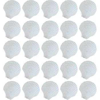 Conchas de Festón para Colorear 25 Piezas