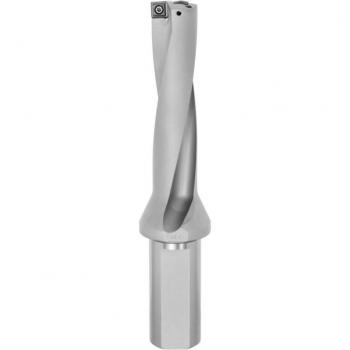Punta a inserti Pro Drill Holex codolo Weldon 4xD