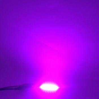 10pcs COB LED Chip Module