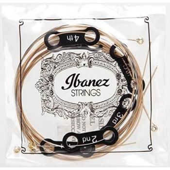 IBANEZ Saiten Set für 6 String