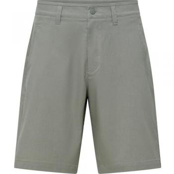 SALEWA Fanes Hanf Shorts Herren