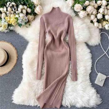 Robe d'hiver stretch col roulé femme