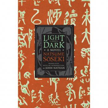 Vitalsource Technologies, Inc. LIGHT AND DARK: A NOVEL