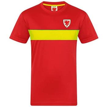 Men’s 3XL Red FA Wales Polyester T‑Shirt