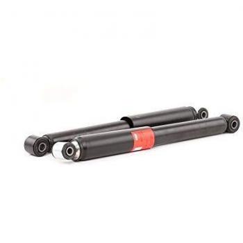 TRW Amortisseur Pression de gaz JGT1056T