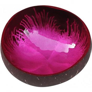 Decorative Coconut Drawing Key and Salt Bowl