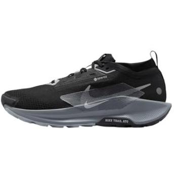 Nike Pegasus Trail 5 GORE-TEX Homme