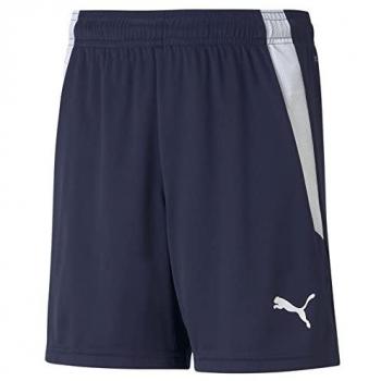 Puma Calças Curtas Esportivas Teamliga