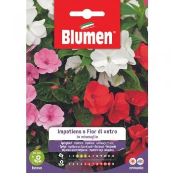 Semillas de Flor de Cristal Impatiens Variedad