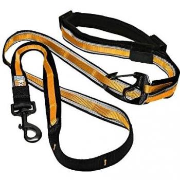 Kurgo Laisse Mains Libres Quantum 6 en 1 pour Chien, Ceinture/Laisse de course
