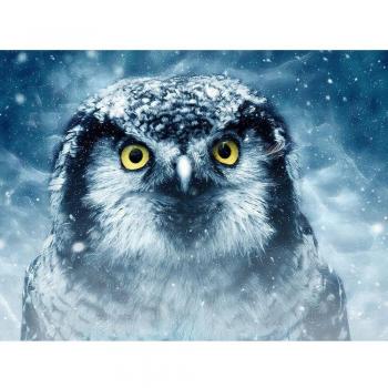Eulen-Glitzerkunst 20x30 cm – 5D DIY Diamond Painting Set
