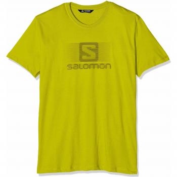 SALOMON Herren Blend Logo SS Tee Kurzarm-Shirt, Gelb, M